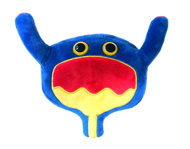 Bladder plush doll