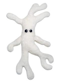 Bone Cell plush doll