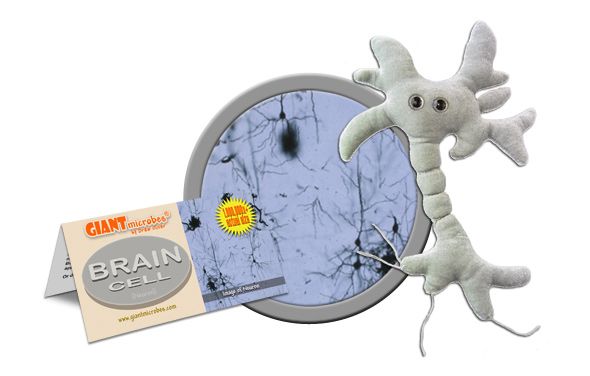 Brain Cell plush cluster