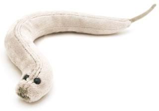 C. Elegans plush doll