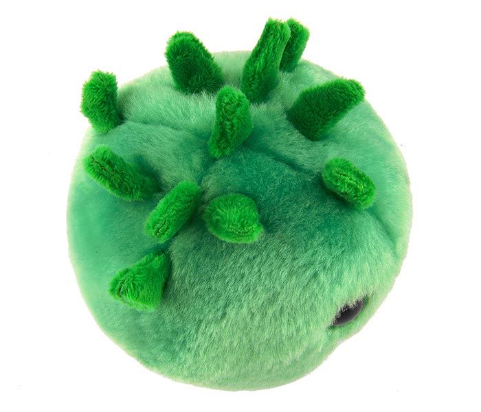 Chlamydia plush top