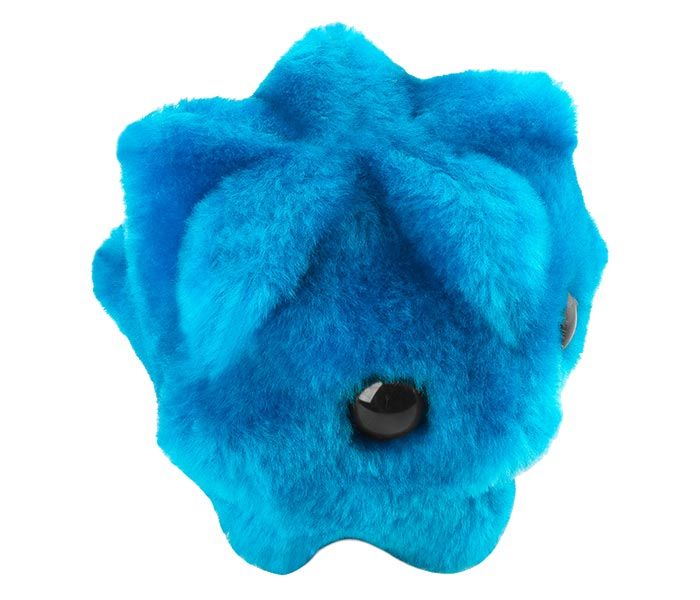 Common Cold plush angle