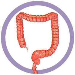 Colon real image