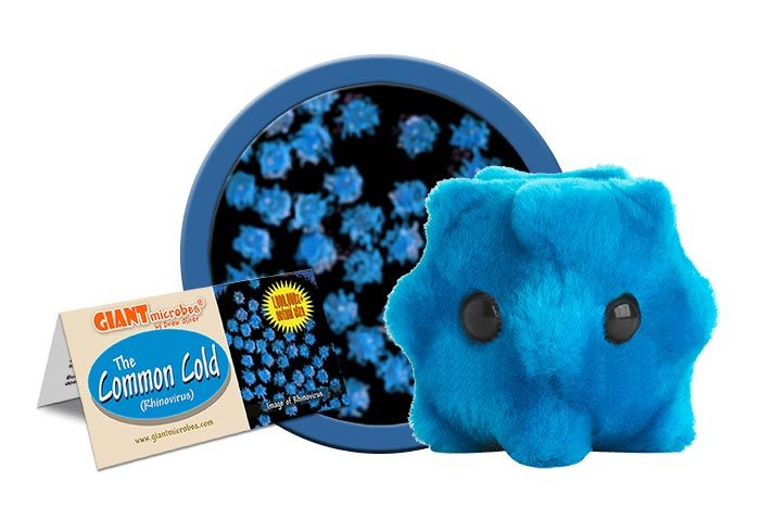 Common Cold plush cluster