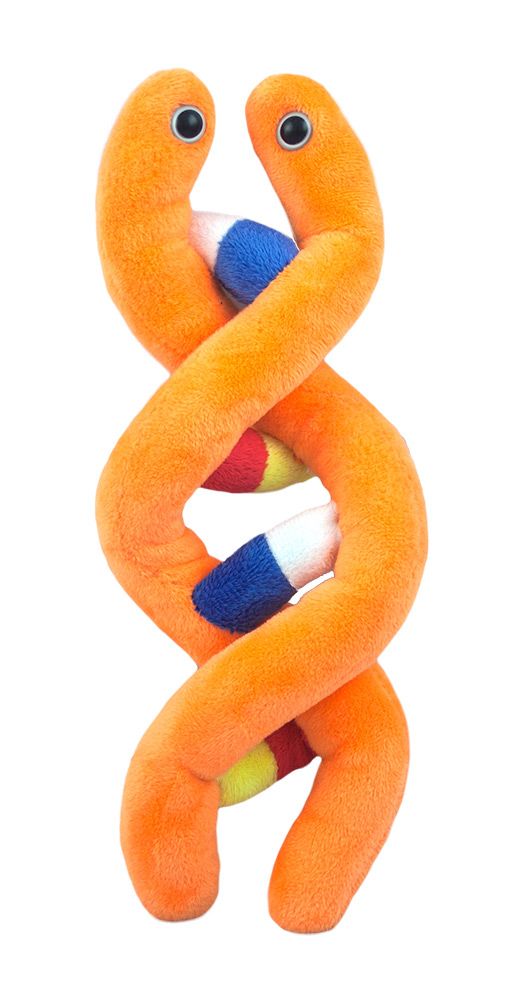 DNA plush