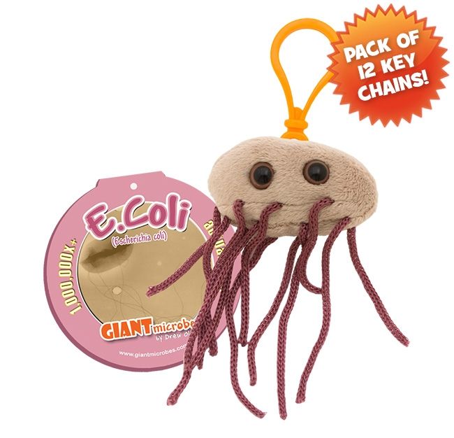 E. Coli KC pack