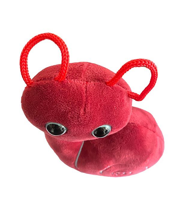 Inner Ear plush top