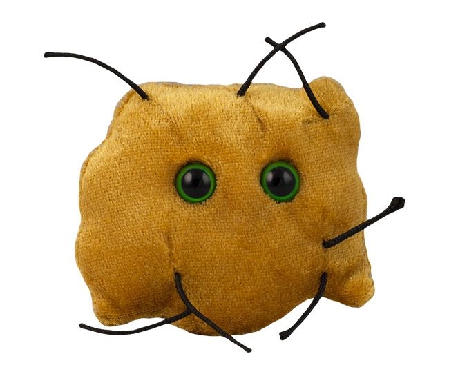 Earwax plush doll