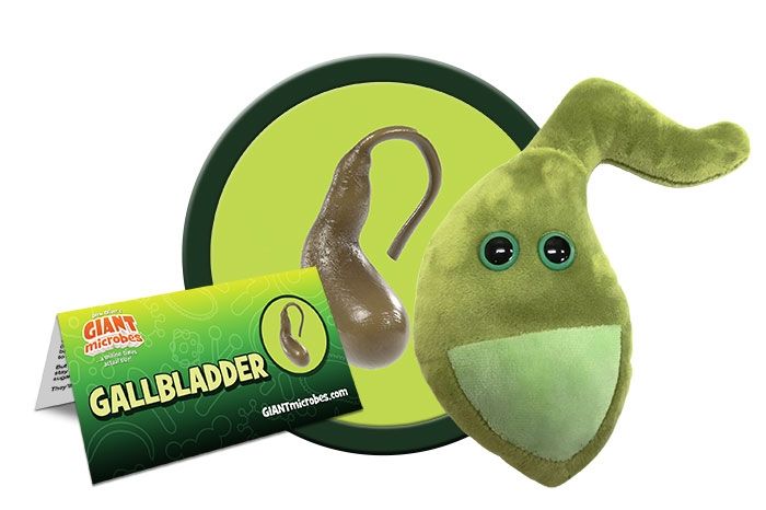 Gallbladder plush cluster