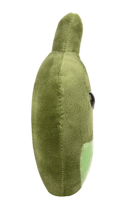 Gallbladder plush side