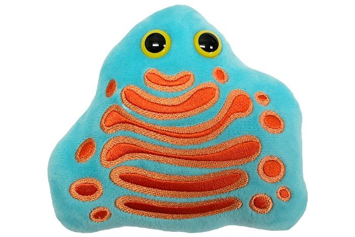 Golgi Apparatus plush doll