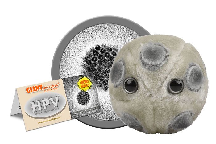 HPV plush cluster