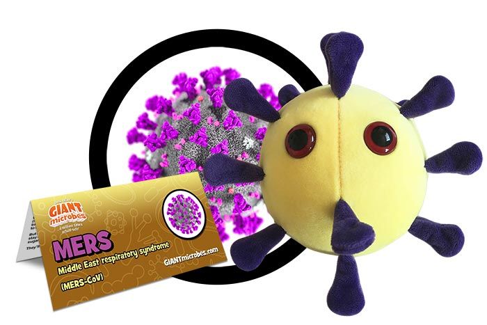 MERS plush cluster