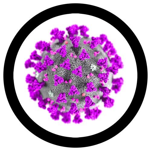 MERS-CoV microbial