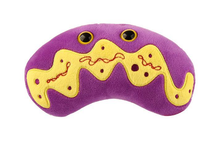 Mitochondria plush front