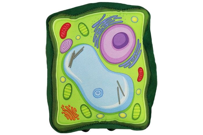 Plant Cell plush top