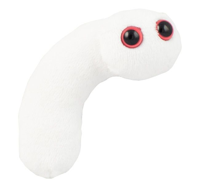 Pus plush doll