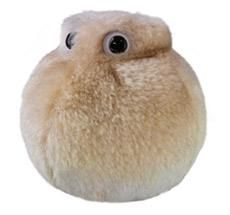 Fat Cell plush doll