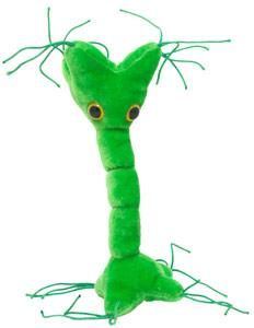 Nerve Cell doll