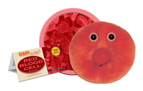 Red Blood Cell cluster