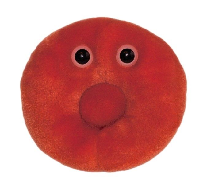 Red Blood Cell doll