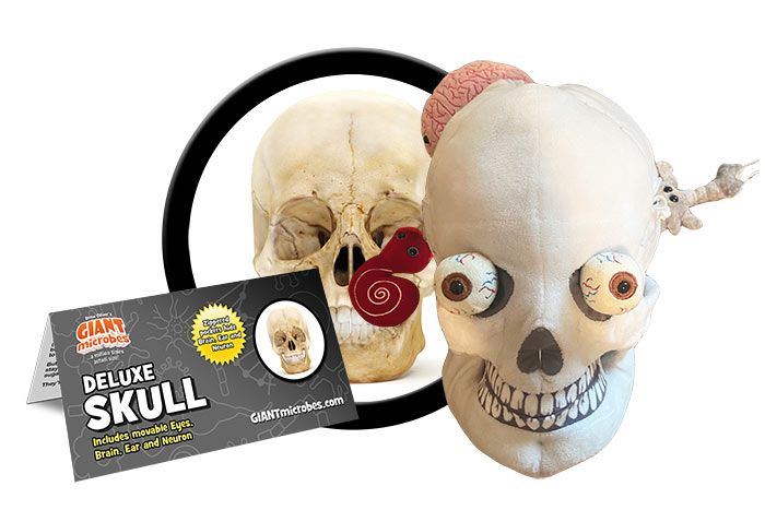 Deluxe Skull cluster