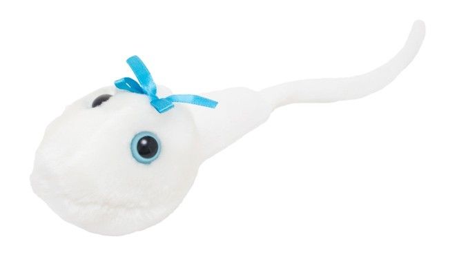 Sperm Cell plush doll