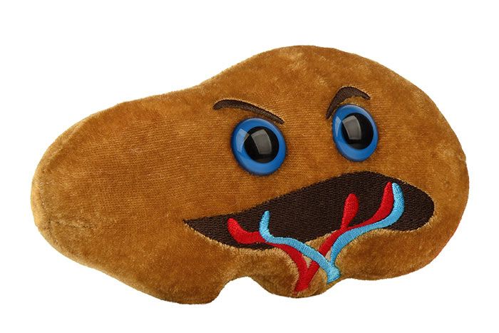 Spleen plush angle