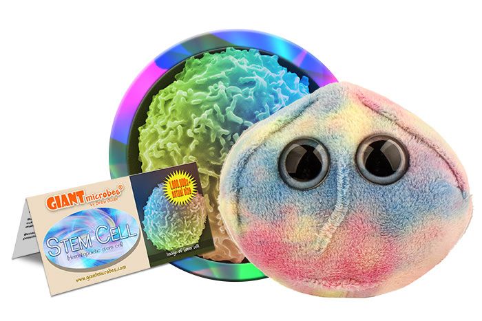 Stem Cell plush cluster