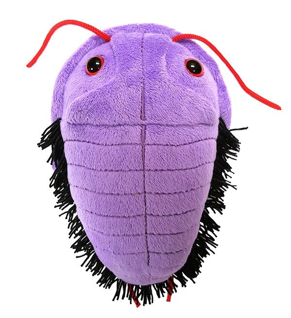 Trilobite plush doll