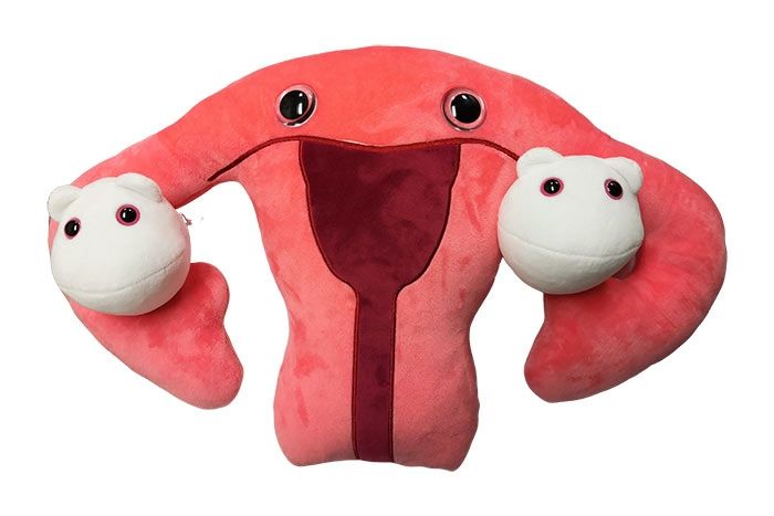 Uterus Gigantic with eggs detached