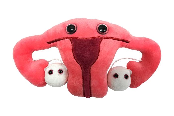 Uterus plush doll