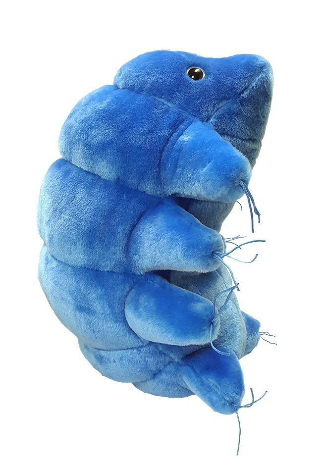 Waterbear gigantic doll