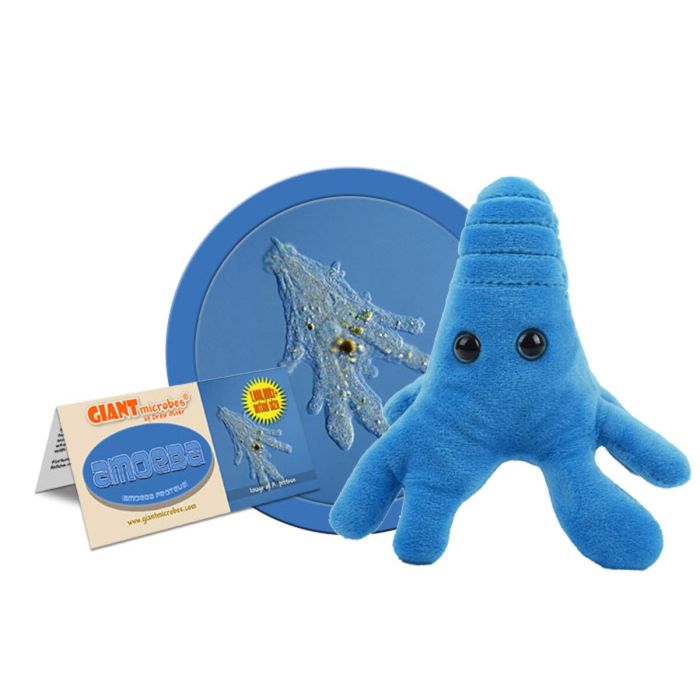 Amoeba plush cluster