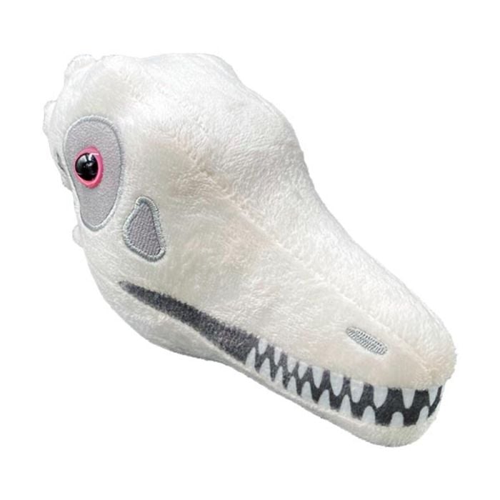 Archaeopteryx plush skull angle