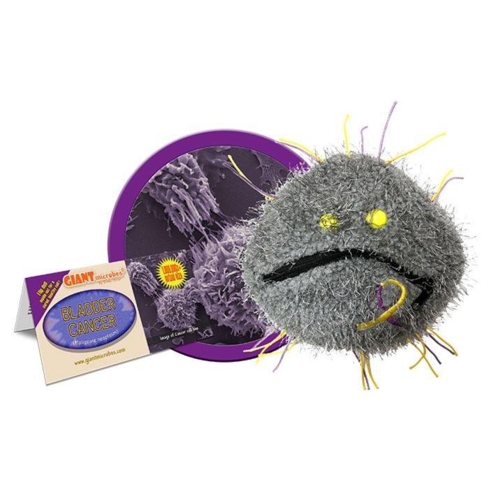 Bladder Cancer cluster