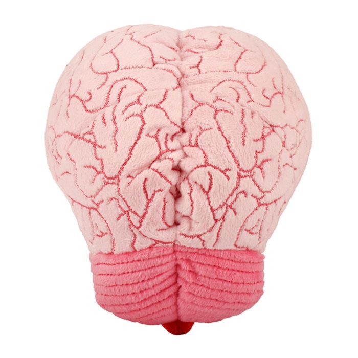 Brain plush back