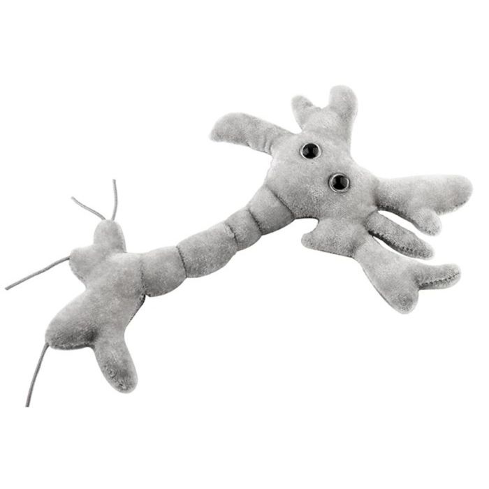 Brain Cell plush angle