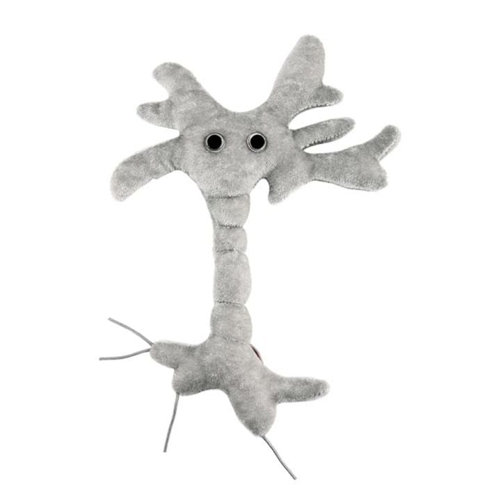 Brain Cell plush doll