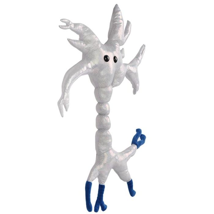 Brain Cell gigantic new angle