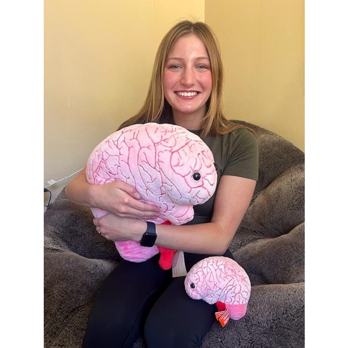 Brain gigantic with original size PD Brain