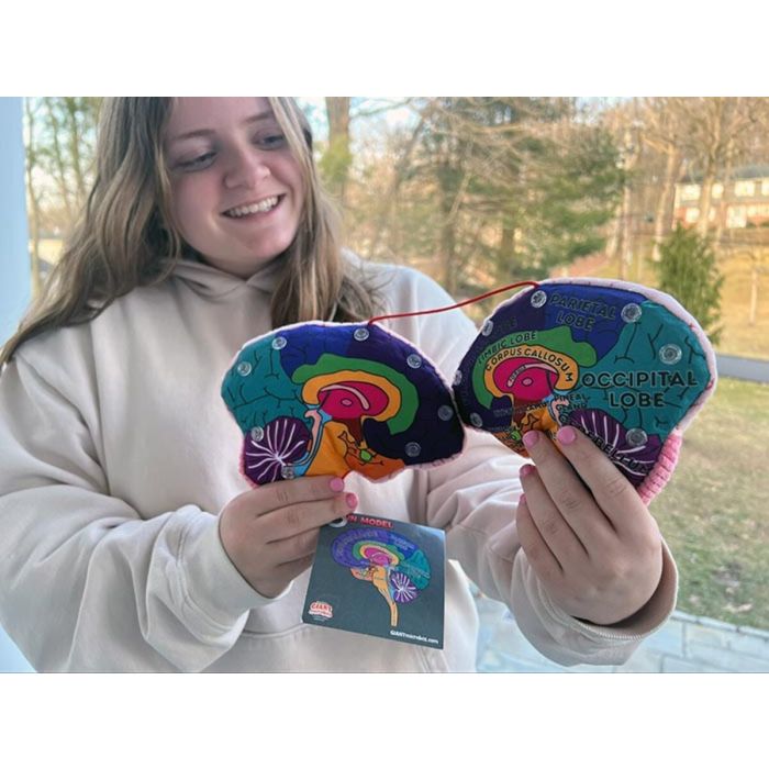 Brain model plush with woman
