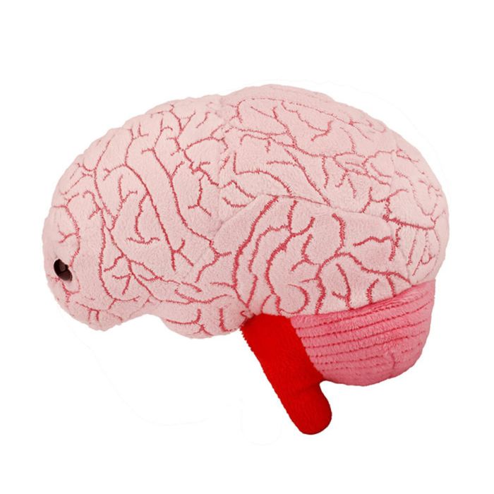 Brain plush side