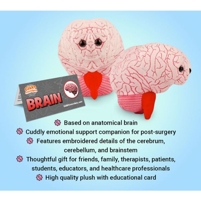 Brain plush bullet points