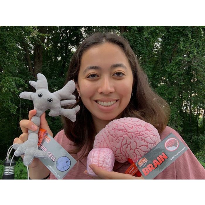 Brainy Deluxe group photo