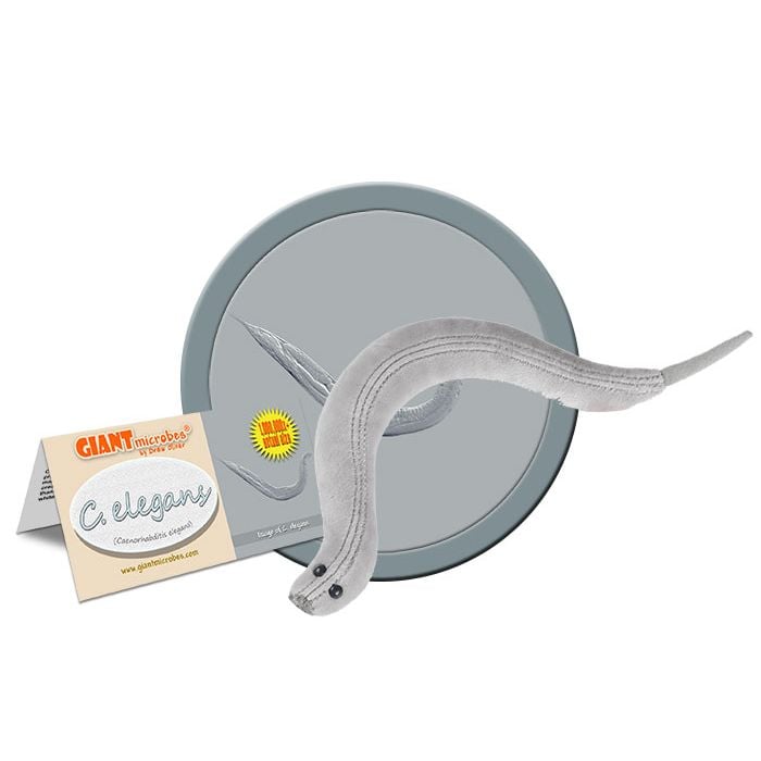 C. elegans plush cluster