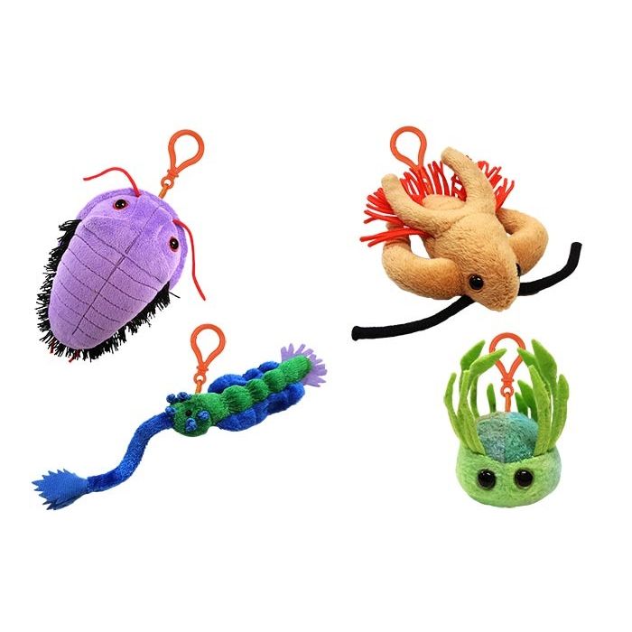 Cambrian Creatures new group