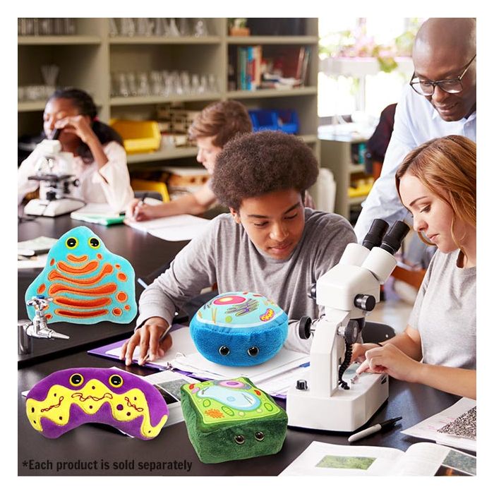 Cell Biology lab