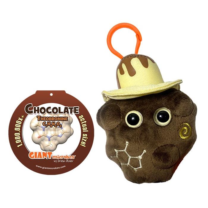 Chocolate key chain with tag