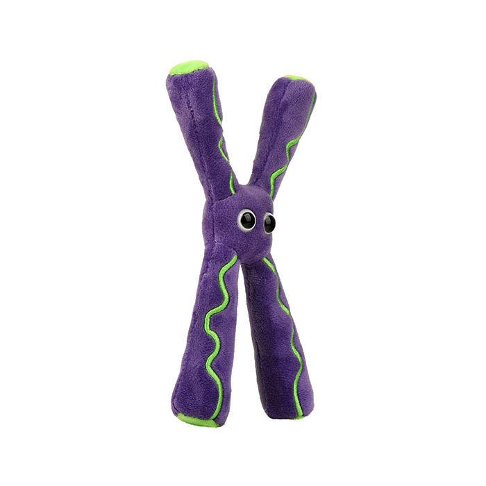 Chromosome plush angle